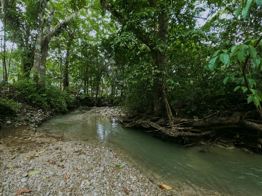 Yoko Village river clean-up in Santa Teresa